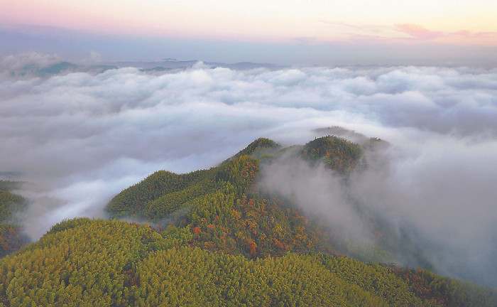 雨后天晴的六安市霍山县汪家冲出现日出云海的壮美景观。通讯员 蒋常虹 摄