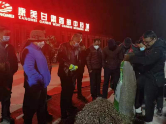 康美甘肃西部中药城柴胡销售情况（图片来源：受访者供稿）