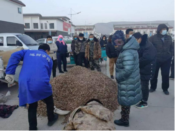 康美甘肃西部中药城柴胡销售情况（图片来源：受访者供稿）