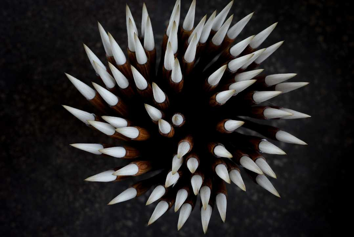 妙笔生花。沈勇强摄