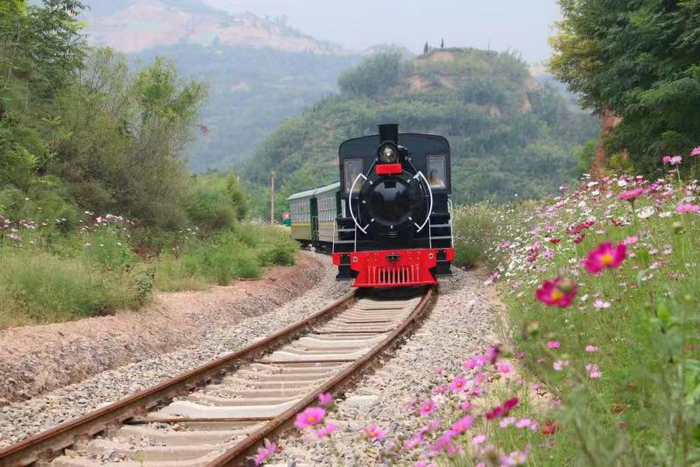 山花掩映中的沿黄时光小火车。 彭乐欣 摄