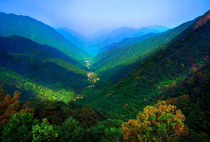 武夷山国家公园。南平市生态环境局供图