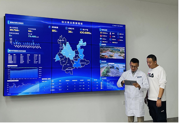 　　佳沃果业数据分析看板