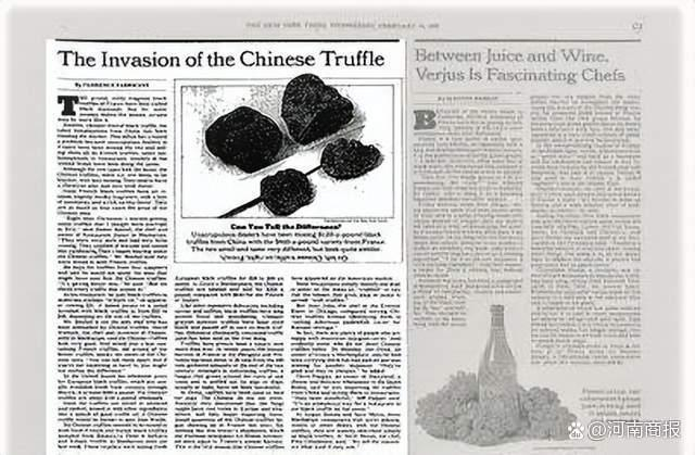 《纽约时报》相关报道截图