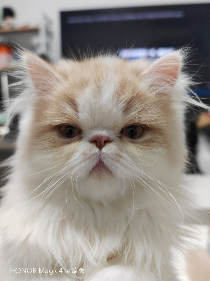  图源：品玩 LU摄