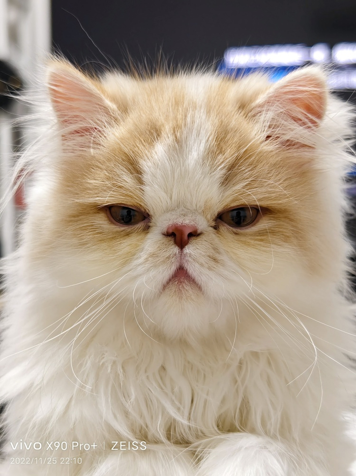  图源：品玩 LU摄