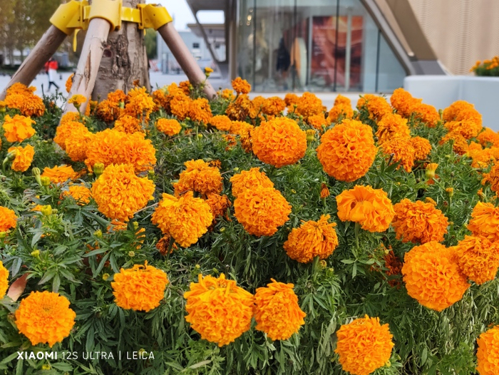  徕卡鲜艳 图源：品玩 LU摄