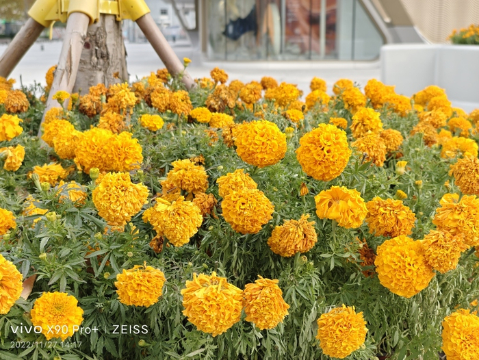  蔡司自然影像 图源：品玩 LU摄