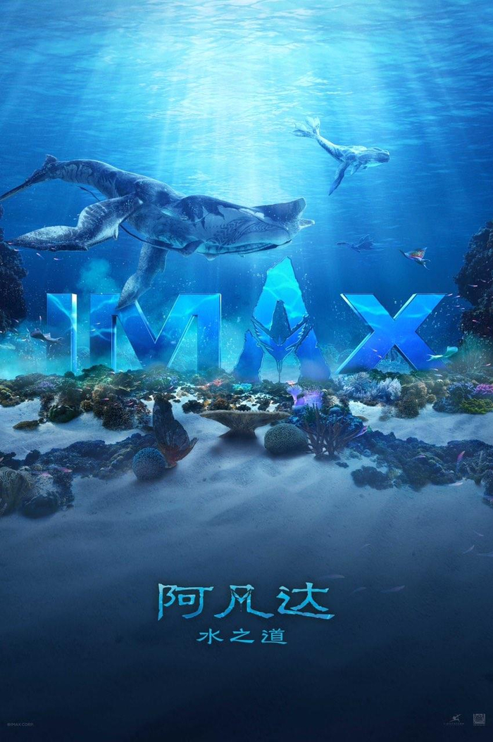 IMAX发布《阿凡达2》概念视觉海报。