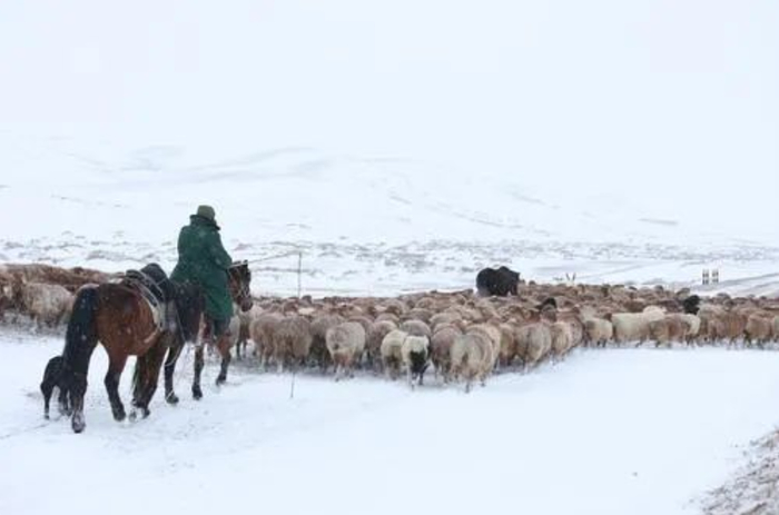 图片来源：阿勒泰零距离