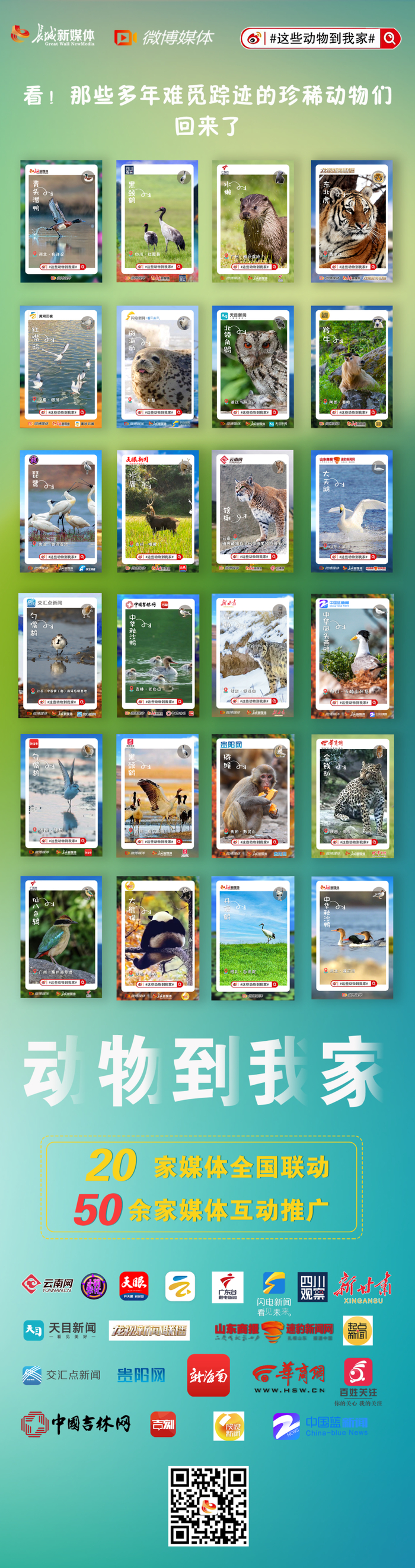 海报制作：吴海燕。