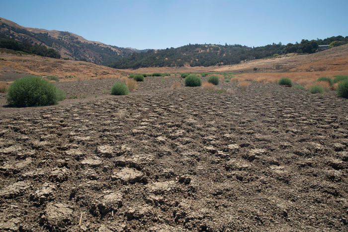 图片来源：新华社发（李建国摄）
