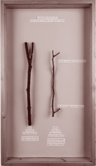 《无用：人类最宝贵的工具？》内页插图。