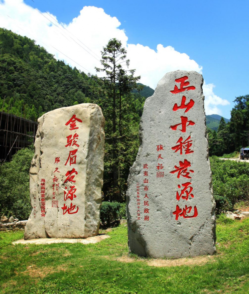 　　武夷山桐木村：武夷山市人民政府、海峡两岸茶业交流协会所立“正山小种发源地和金骏眉发源地”石碑