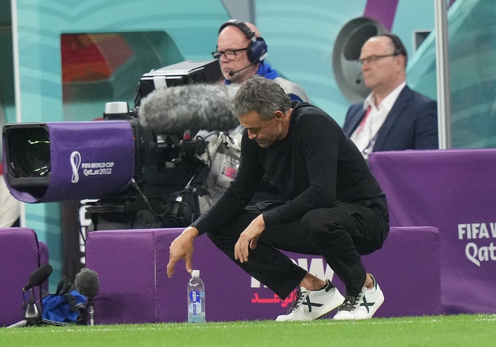 　西班牙队主教练路易斯·恩里克