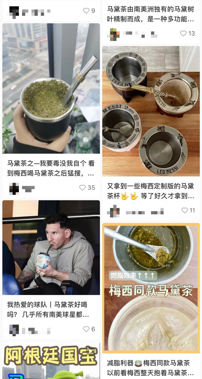 世界杯期间，关于马黛茶的关注明显增多了（图源：社交媒体截图）