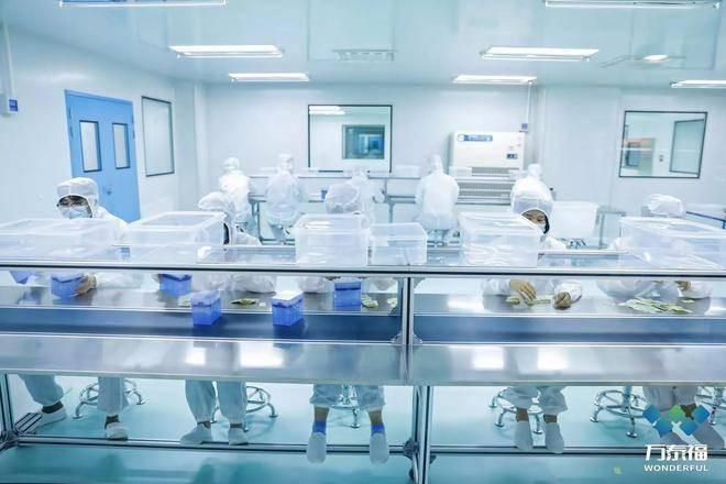 　　危中见机大展宏图