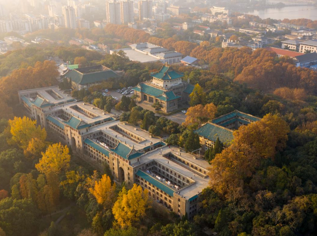 （俯拍武汉大学，图片来自长江头条用户@手抖的福瑞）