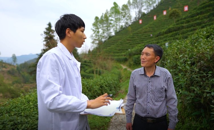 　　“遂”茶年丰 遂川县与“茶博士”共发力