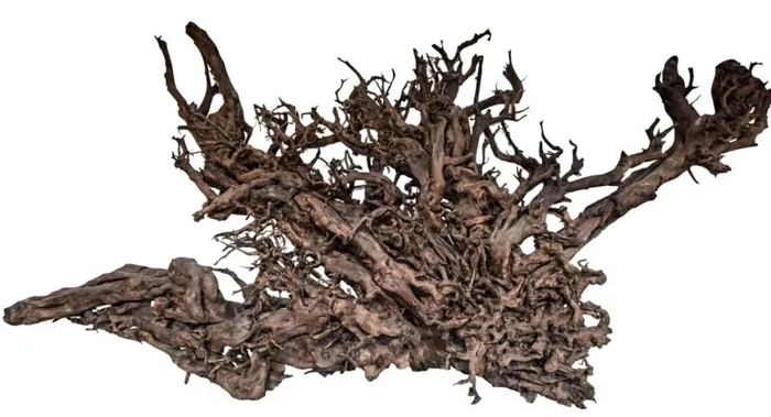 《圣地洞天簇猴王》。受访者供图