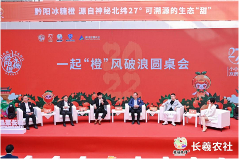 　　△ 领导们正在参与一起“橙”风破浪圆桌会