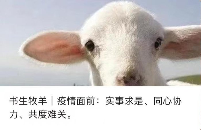 ▲饶毅刊文分享自己及周围人新冠阳性之后的直观感受。截图来自公号“饶议科学”