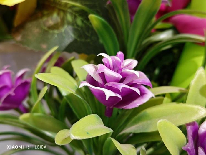  图源：品玩lzh摄