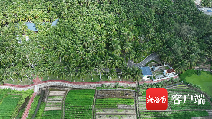 什寒夜雨，清晨初歇，村庄、山峦被云雾笼罩。拍客 日尧 摄