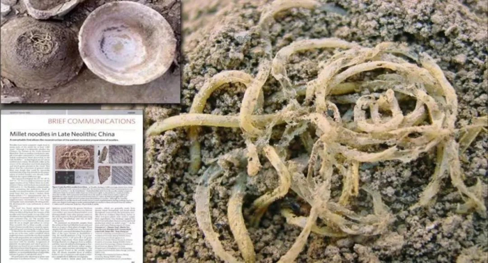 ▲英国《自然》杂志刊发面条遗存版面。