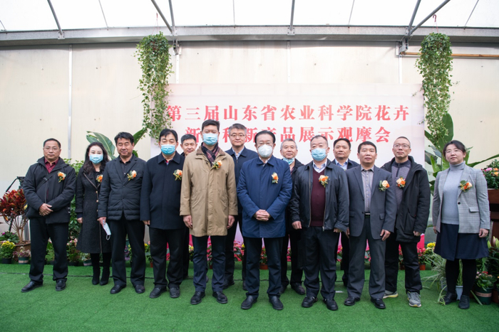 图片来源：山东省农科院休闲农业（花卉）研究所