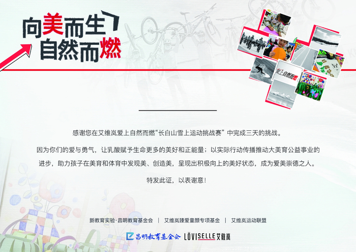 　　艾维岚大美育专项公益证书