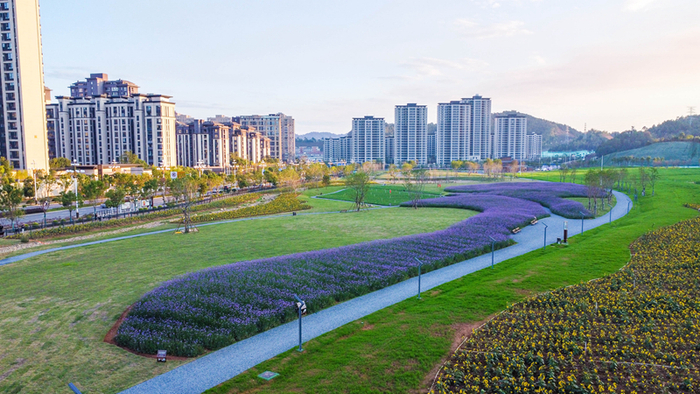 优美的城市环境 张莎 摄