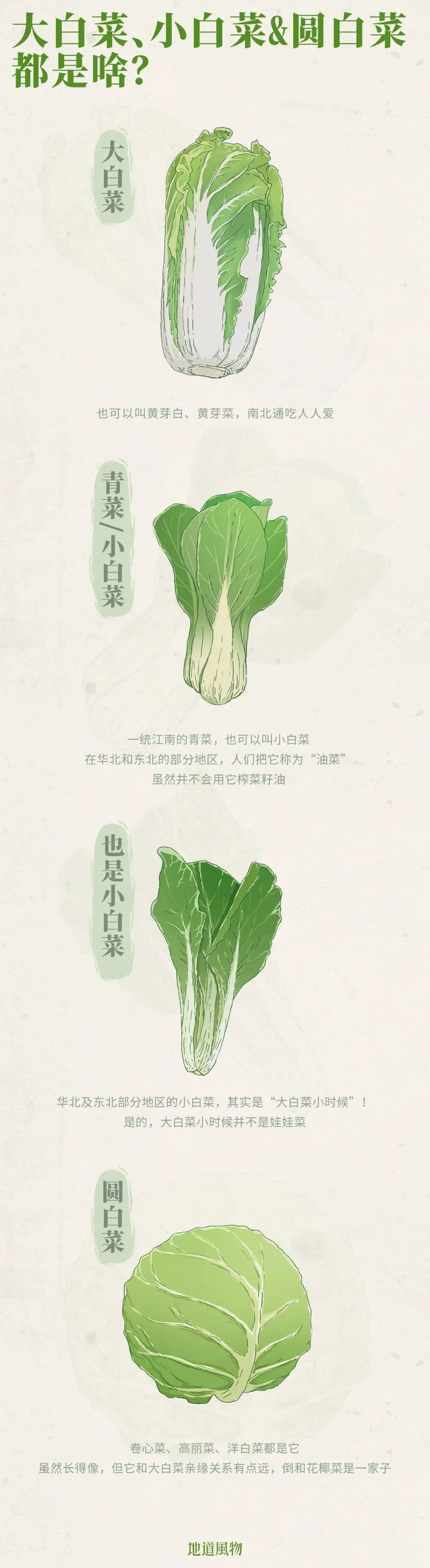 这一家子的关系，现在理清楚了吗？