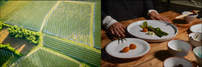 　　图7：推行“精彩永续”战略的人头马酒庄将与《米其林指南》一同为可持续餐饮业支持者加冕