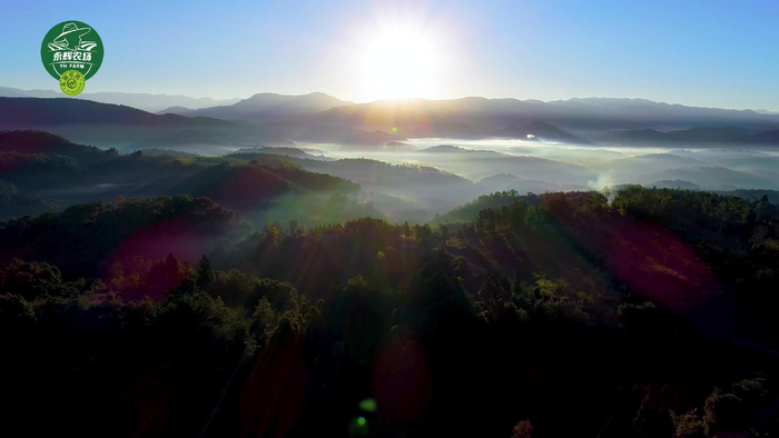 　　▲“永辉农场”丹东草莓产区-辽宁丹东东港椅圈镇