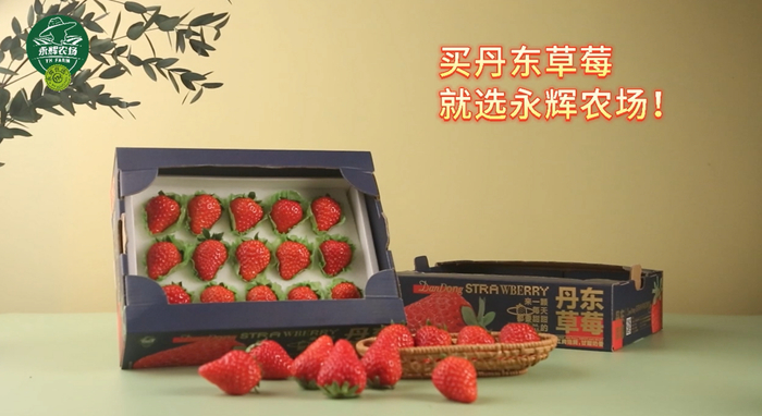 　　▲永辉自有品牌“永辉农场”新品丹东草莓上市