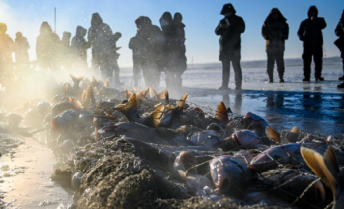 2021年12月26日，游客在查干湖冰面上近距离观看冬捕盛况。新华社记者 颜麟蕴 摄