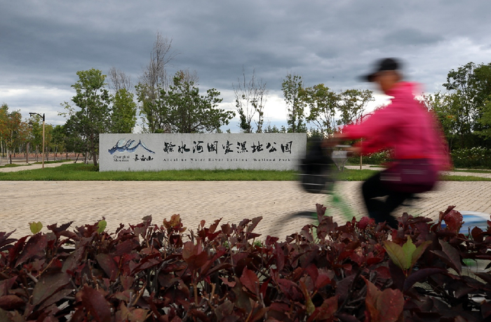 这是2020年9月1日在二道白河镇拍摄的碱水河国家湿地公园。新华社记者 雒圆 摄