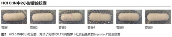 　　12月27日 龙沙推出新型肠溶胶囊 2