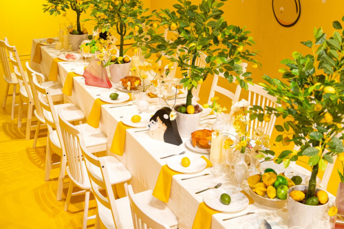 　　天野タケル个展「意象维纳斯」现场