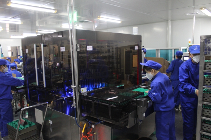 自动灯检机前工人认真忙碌的身影