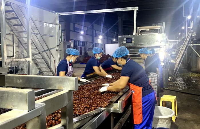 坚果加工车间 来源：镇康县众裕农业开发有限公司