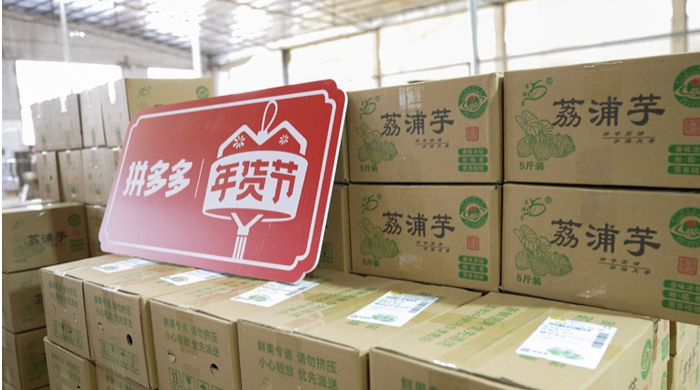 ▲为及时发好年货，龙启强已为拼多多2023年货节活动准备好了100吨荔浦芋头。何淞荧｜摄