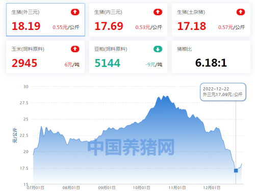 （图源：中国养猪网）