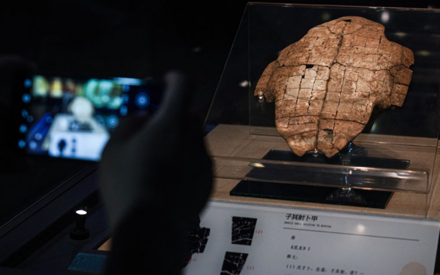 ▲2022年8月25日，游客在中国文字博物馆内用手机拍摄展出的卜甲。图/新华社