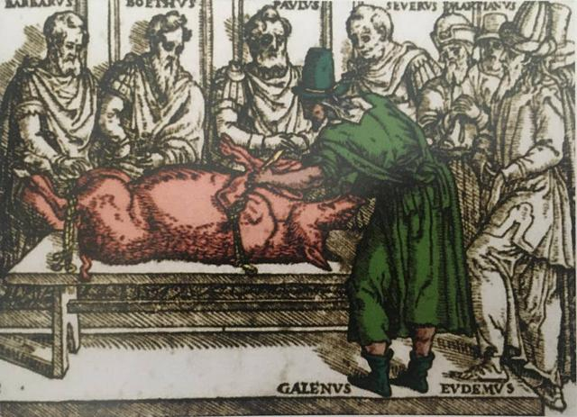 盖伦在2世纪用猪开展了令人毛骨悚然的实验。图片来自出版于16世纪的盖伦著作集的扉页。 