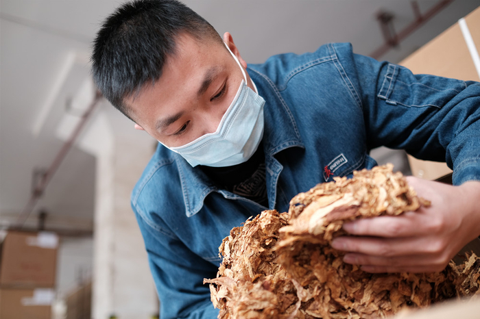 仓储人员检查烟叶质量。原料供应中心供图