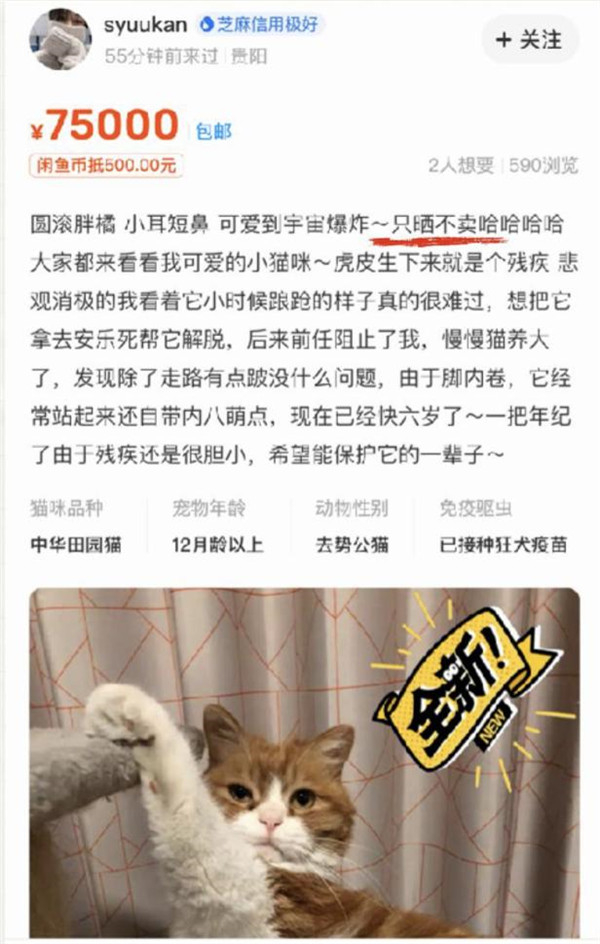 　　闲鱼用户@syuukan