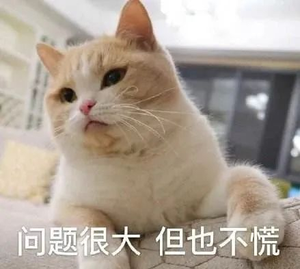 （只要我还在场，就还有机会）