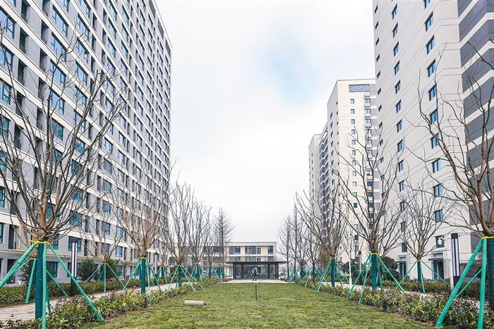 目前小区内的绿化施工已进入养护阶段